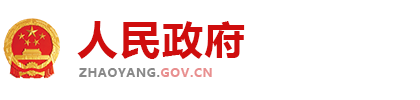 星络科技政府站点-用心点亮品牌 用络编织未来